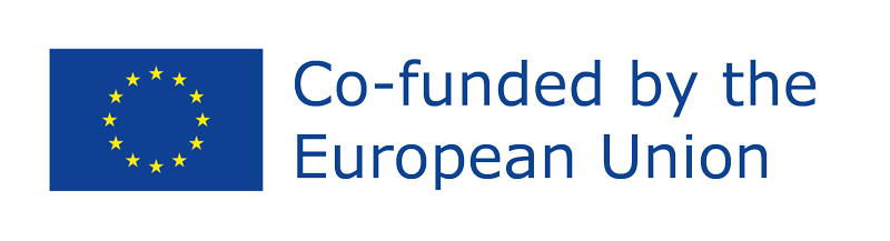 Co-funded by European Union